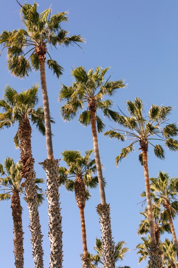 Отель Found Santa Monica Powered By Sonder Лос-Анджелес Экстерьер фото